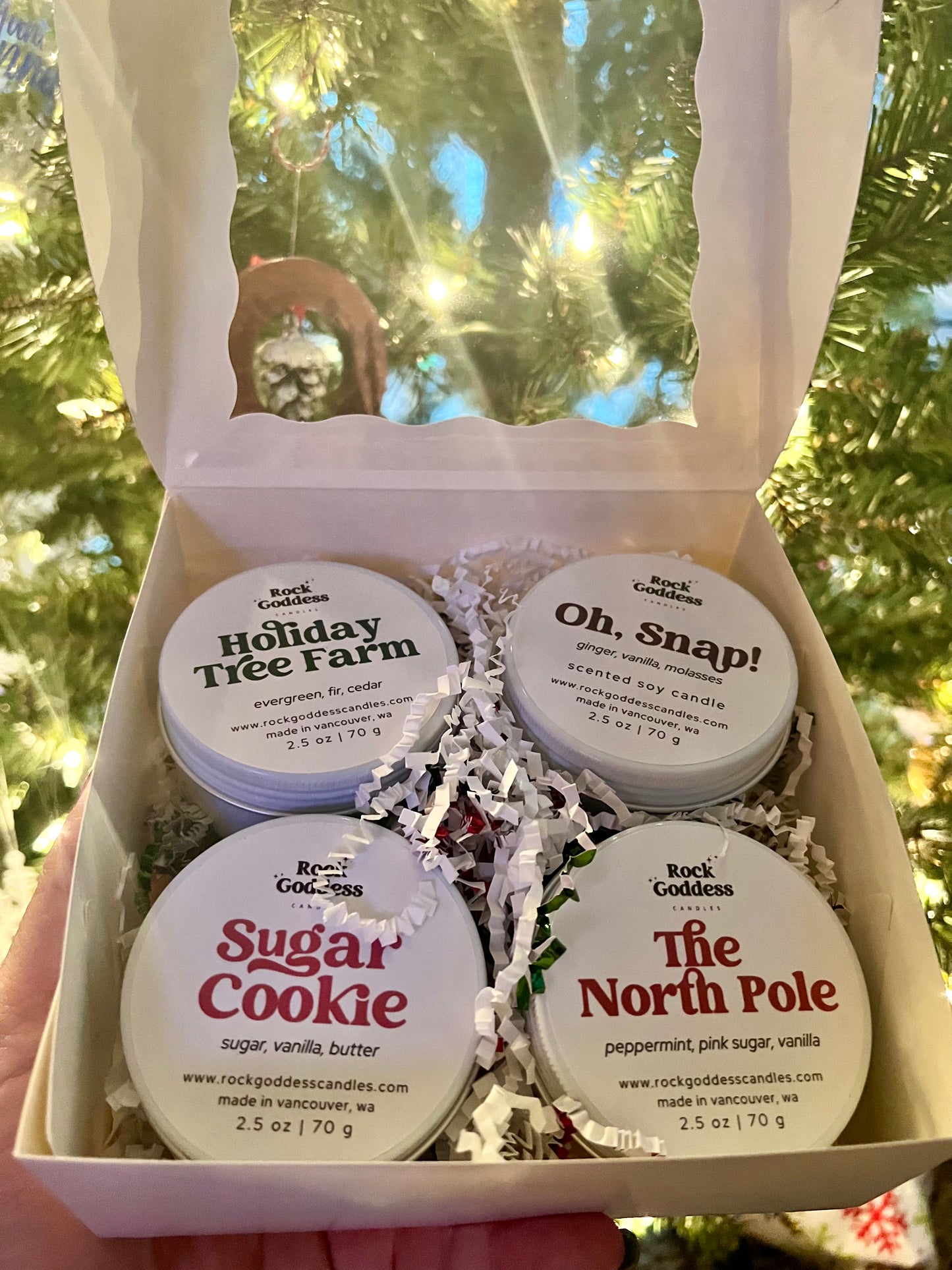 Holiday Collection 2025