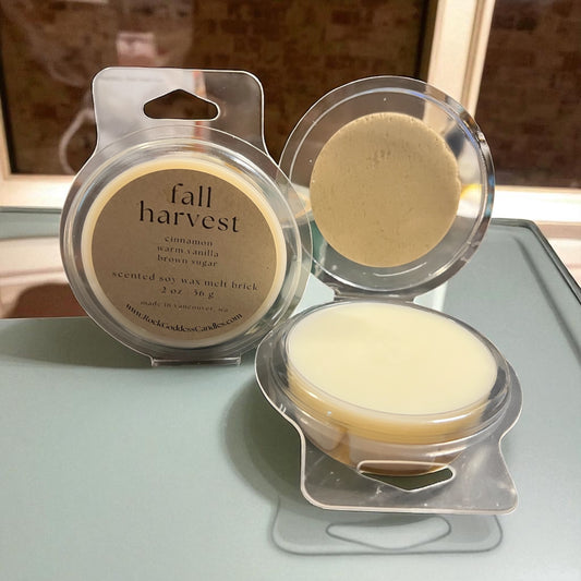 Fall Wax Melt Collection 2025